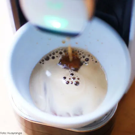 16 Apartment Los Cristianos (Tenerife)