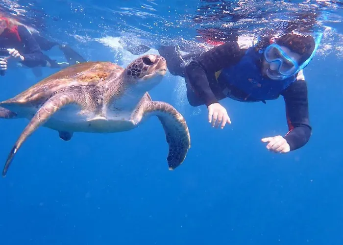 아파트 16 로스크리스티아노스